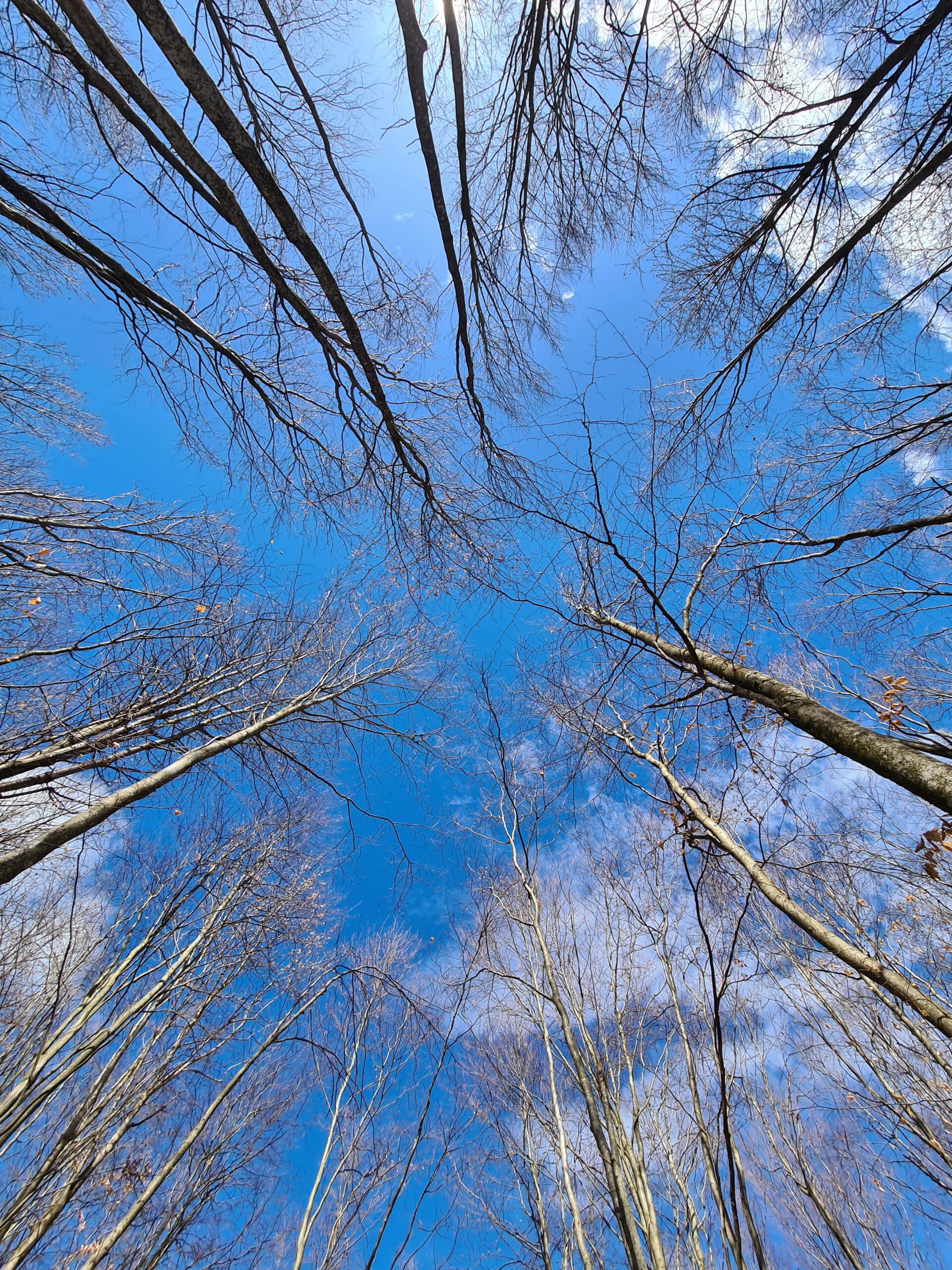 Do We Need the Concept of Mind in Psychology?